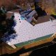 IMG 1246